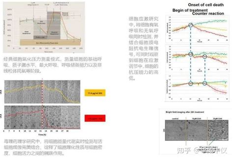 Downs Cell Diagram 的图像结果