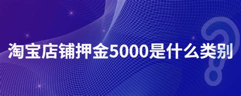 淘宝店铺押金5000是什么类别 | 店查查