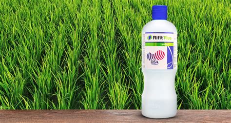 Rifit Plus | Syngenta