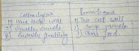 difference between collenchyma and parenchyma [in points] - Brainly.in