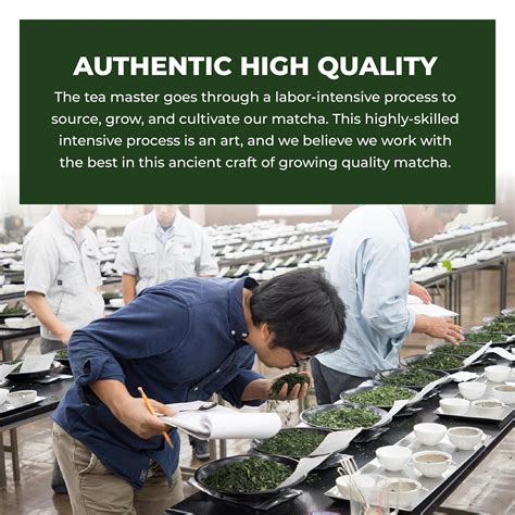 Tenzo Matcha Green Tea Powder - USDA Organic Authentic Japanese Premium ...