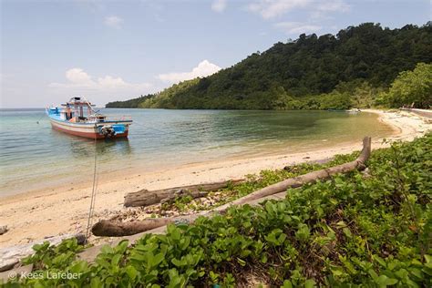 Pulau Nusalaut Tourism (2023): Best of Pulau Nusalaut - Tripadvisor