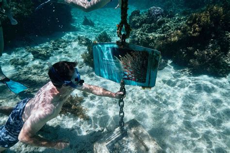 Image result for Microplastic Machine Learning Prediction Model