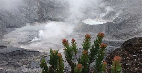 Jakarta, Volcano, Tea/Rice Fields, Hot Spring, Local Food | Day Trip in Jakarta