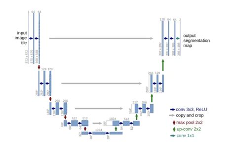 Image Segmentation Using Unet Tensorflow 的图像结果