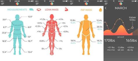 ShapeScale: Body Composition ShapeScale App Features 的图像结果