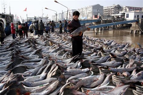 中国最大远洋捕捞渔船船员工资,远洋渔船船员生活照片曝光_免费QQ乐园