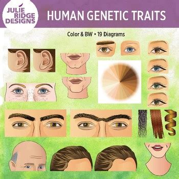 Genetics Examples 的图像结果
