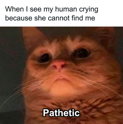 Image result for Writing Program Code On Paper Meme