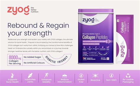 ZYOG Type II Collagen Peptides For Bone & Joint Health With Hyaluronic ...