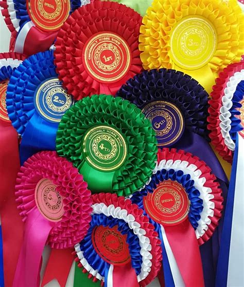 70th Annual Chiddingly Horse and Fun Dog Show, Burchetts Farm ...