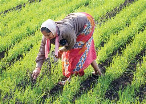 The Call of Indian Agriculture, Cow Protection and Nature Conservation ...
