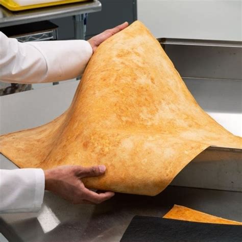 Mushroom leather might soon be a part of your closet