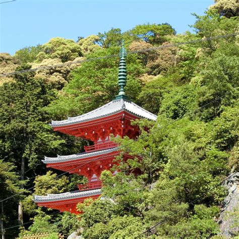 MIE TOWER (2026) All You Need to Know BEFORE You Go (with Photos ...