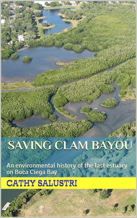 Saving Clam Bayou: An environmental history of the last estuary on Boca ...
