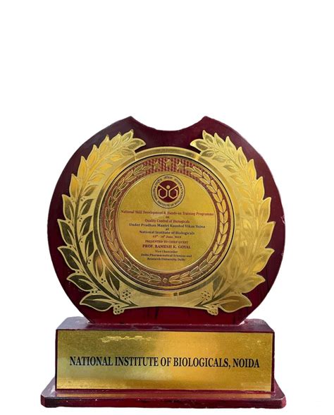 Delhi Pharmaceutical Sciences and Research University