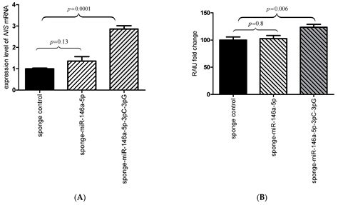The rs2910164 Genetic Variant of miR-146a-3p Is Associated with ...