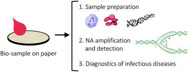 Image result for Nucleic Acid Amplification Test Explained