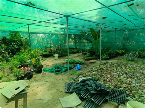 Horticulture | Don Bosco College of Agriculture