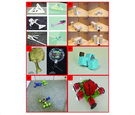 Robot Evolution 的图像结果