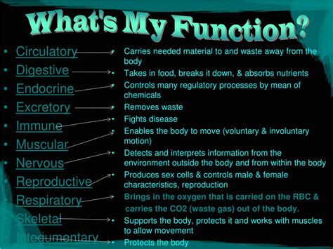 Image result for Cell Organization