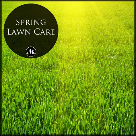 Spring Lawn Care – Mindy Hibbard Real Estate Team