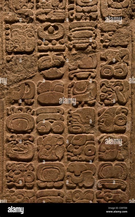 Image result for Maya Script