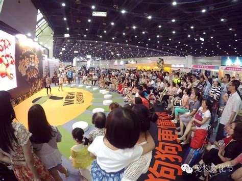 儀在1102: 《My Pets Carnival 2017宠物嘉年华》，带来三天欢乐无限的宠物盛会