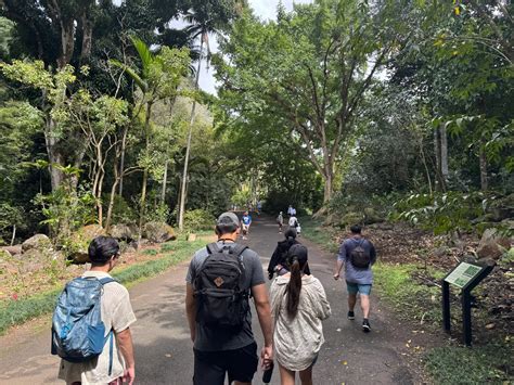 Spring break trip to Hawaiʻi provides insight into Indigenous law | ASU ...