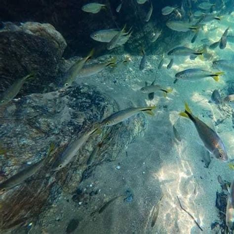 THE BEST Places to Visit in Puerto Rico (2025) - Must-See Attractions