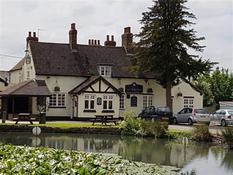 Highly recommend! Amazing food and service - Reviews, Photos - The Rose ...