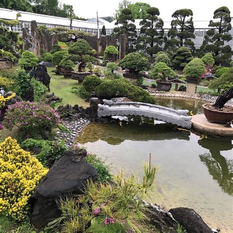 BEARTREE PARK (2026) All You Need to Know BEFORE You Go (with Photos ...