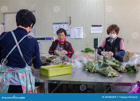 Agricultural Cooperatives in Republic of Korea Villages Editorial Stock Image - Image of color ...