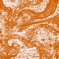 Mouse Tutorial GCF 的图像结果