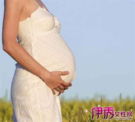 【孕妇三十九周胎儿图】【图】孕妇三十九周胎儿图片 了解该孕期的胎儿发育情况(2)_伊秀亲子|yxlady.com