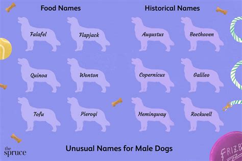 What Are Male Dogs Called