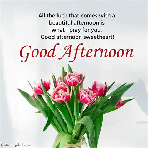 70+ Good Afternoon Greetings, Quotes And Wishes For Everyone