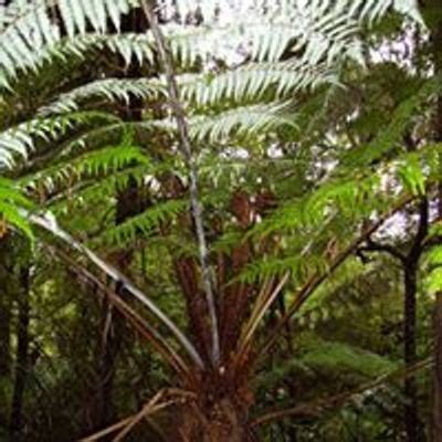 Dyke Hikes - Trips-adventures Events in Auckland | AllEvents