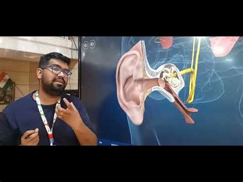 Image result for In-Ear Dynamic Systems Examples