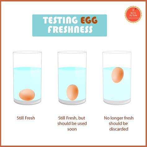 Testing Eggs In Water For Freshness - legly