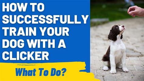 Image result for Dogs Clicker Training for Beginners