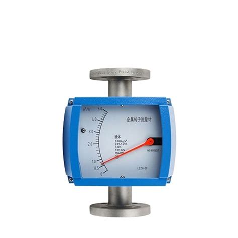 Float Flowmeter 的图像结果
