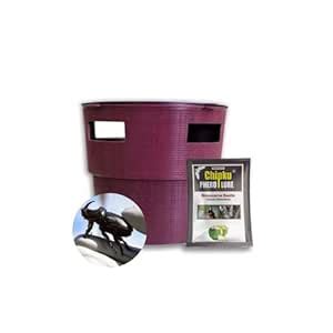 Chipku® Pheromone Bucket Trap with Rhinoceros Beetle Oryctes Rhinoceros ...