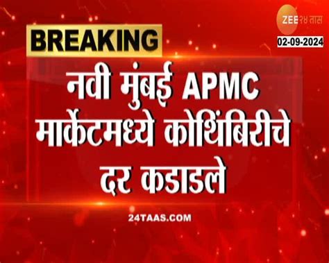 नवी मुंबई APMC मार्केटमध्ये कोशिंबिरीचे दर कडाडले, एक जुडी २०० रुपयांना ...