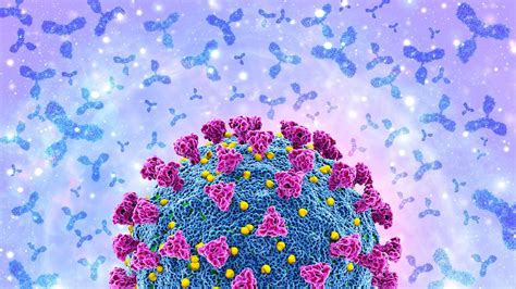 What Do COVID Antibody Levels Really Mean? | MedPage Today