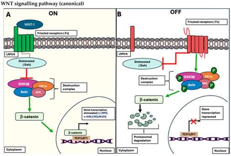 Drug Repurposing: Exploring Potential Anti-Cancer Strategies by ...