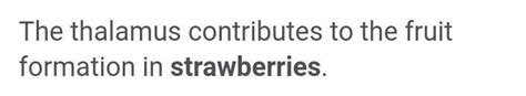 The thalamus contributes to the fruit formation in A. banana. B. orange ...