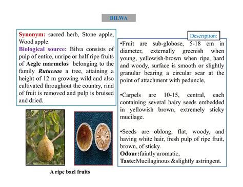 STUDY OF TRADITIONAL DRUGS | PDF