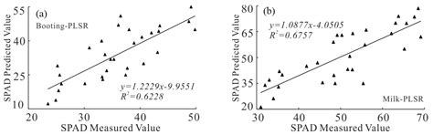 Multi-Model Rice Canopy Chlorophyll Content Inversion Based on UAV ...