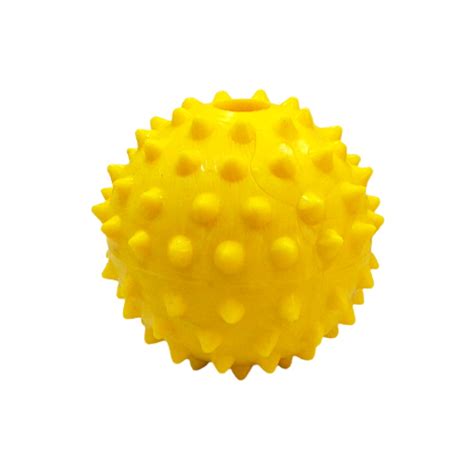 Dog Toy Ball Spike with Bell (Large) - Pets Friend